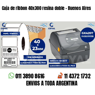 Caja de ribbon 40x300 resina doble - Buenos Aires