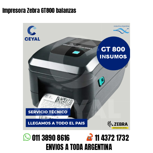 Impresora Zebra GT800 balanzas