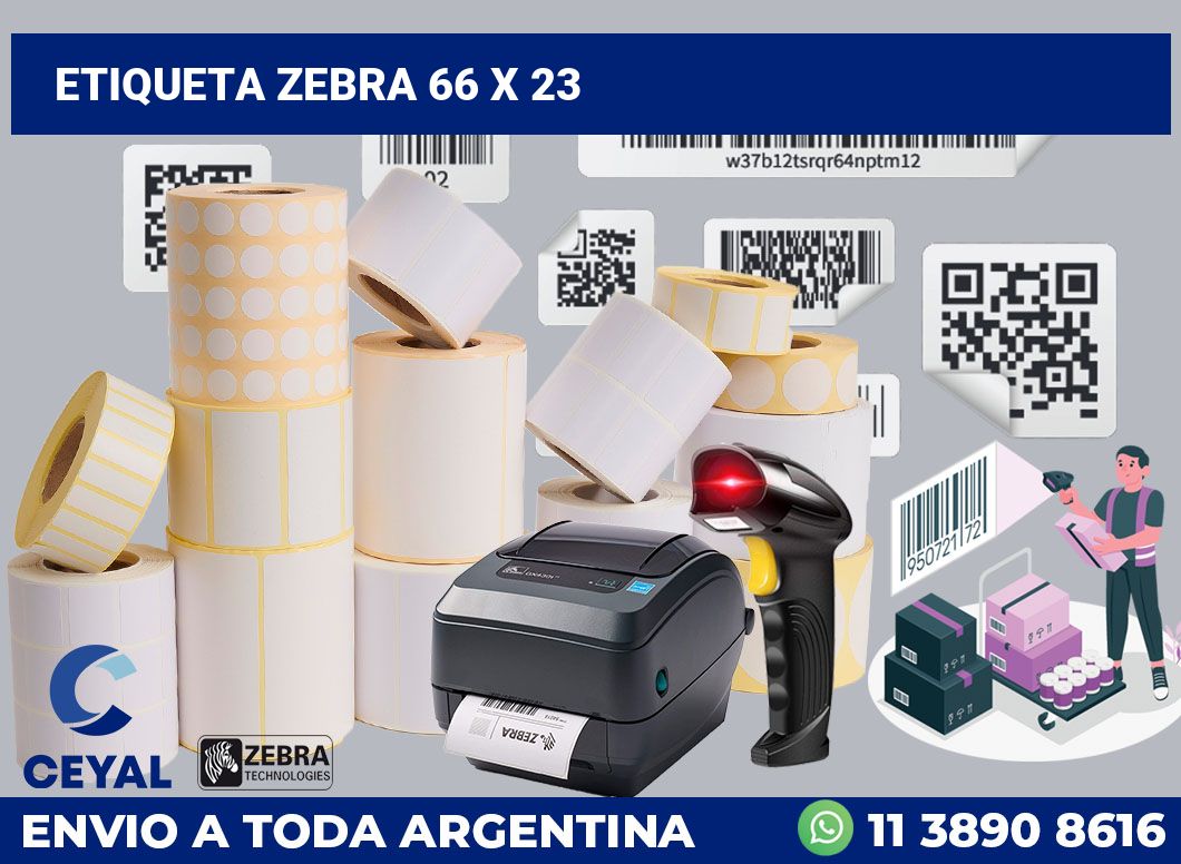 etiqueta zebra 66 x 23