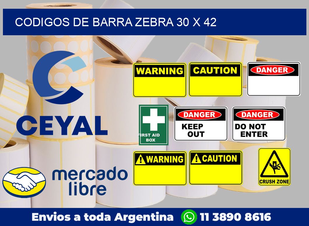 Codigos de barra Zebra 30 x 42