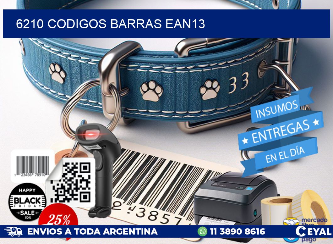 6210 CODIGOS BARRAS EAN13